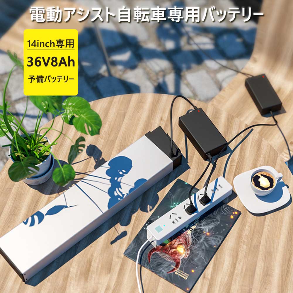 楽天市場】バッテリー-48V15AH FLYFISH専用 : B＆G 楽天市場店