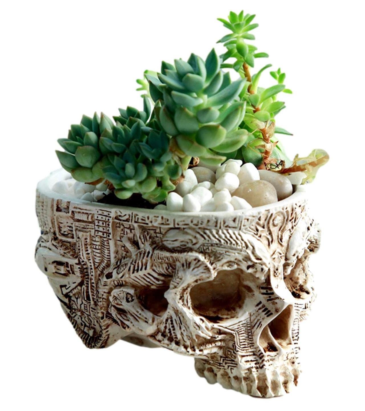 楽天市場】スカル ガーデン ポット ドクロ プランター 植木鉢