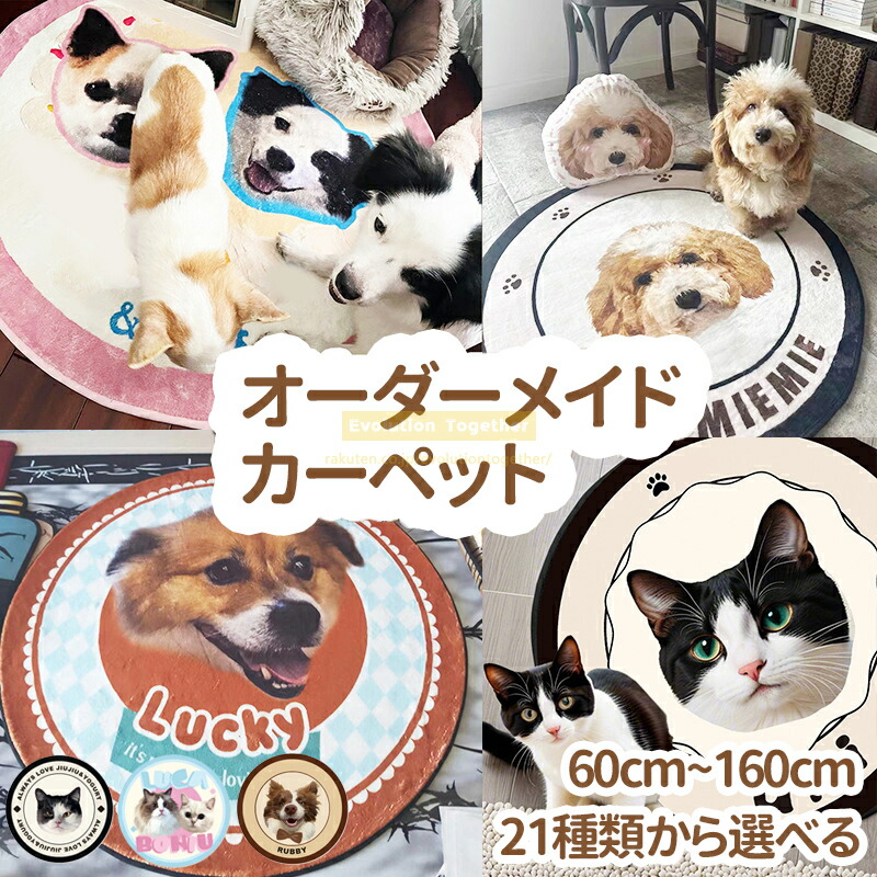 【愛する愛玩動物に】 購入注文お手伝いさん 愛玩動物 引っ敷き 愛玩動物 つや消し 引っ敷き 入り口・入口つや消し 引っ敷き 立ち会い場つや消し 女性議長 つや消し 愛玩動物 引っ敷き  ウェルカムマット ふわふわ引っ敷き ラグラグ つや消し  愛くるしげ 引っ敷き 引っ敷き引っ敷き 今めかしい 韓国