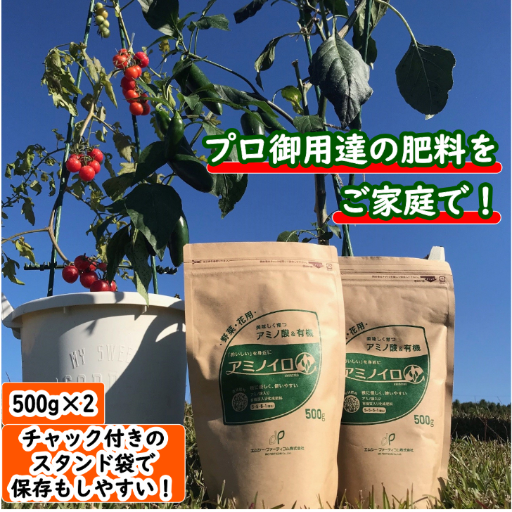 家庭菜園 プランター栽培に最適 野菜 花 全般に使える肥料 アミノイロ 500g 2個 アミノ酸 有機肥料 家庭園芸 ガーデニング 畑 花壇 プロ御用達 元肥 果樹 秋野菜 プランター エムシーファーティコム 寒さに強い 肥料 ベランダ菜園 おすすめ 初心者 冬野菜 追肥