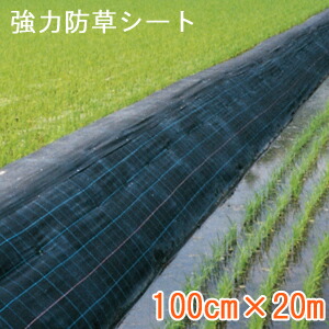 b0428othd-a.jpg