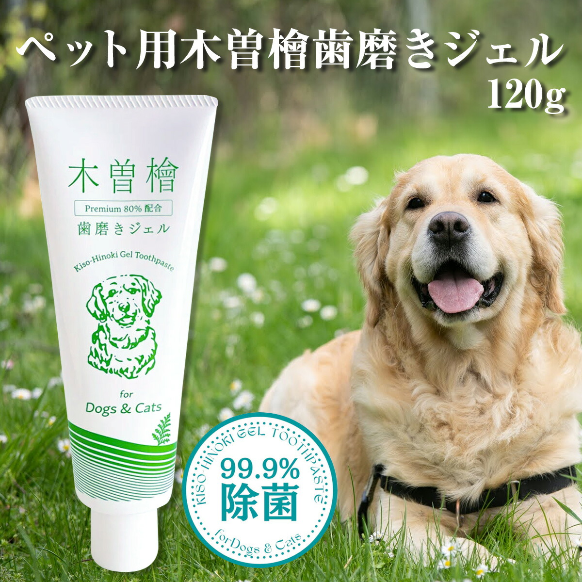 hinoki-pet01.jpg