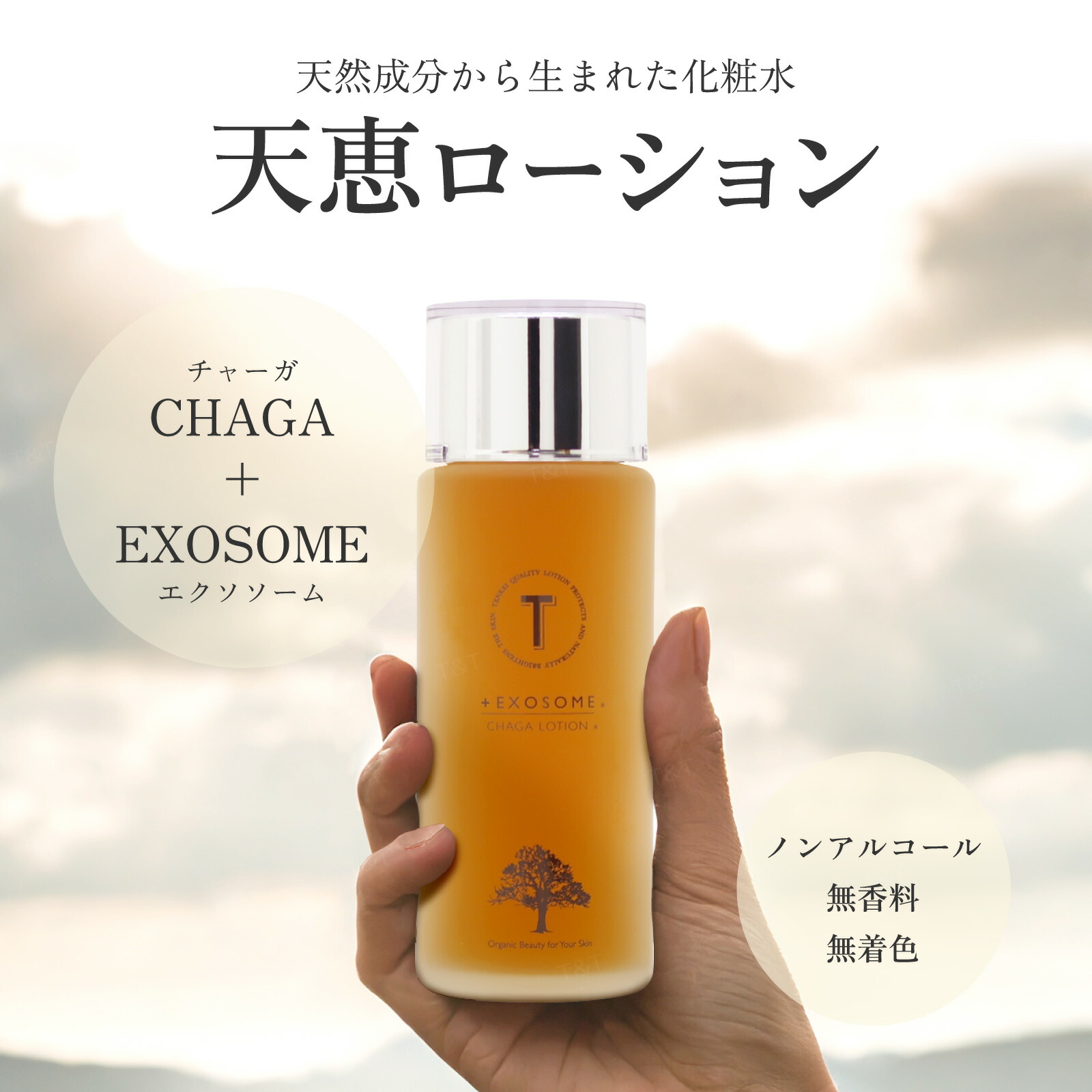 天恵ローション剤 テンケイローション 100ml かざり付ける水 天恵石けん で大人気の足し加える世話をするより新生産物 天恵かざり付ける水 樺のあな茸 チャーガ エクソソーム カバノアナタケエキス 幹独居室育みそだてる上清液｜天恵石ケン 天恵クオリティソープ 肌にもの柔らか 人間の顔世話をする 人はだ世話をする 母の日 敬老の日