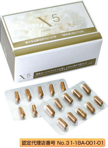 乳酸発酵ハナビラタケ X5 サプリメント 希少性の高い幻のキノコ 高機能特許乳酸菌 乳酸菌バイオジェニックスドクタープラセン プランドゥシーメディカル 毎日の健康習慣に スーパーセール お買い物マラソン ポイント消化 Bnbadministraties Nl