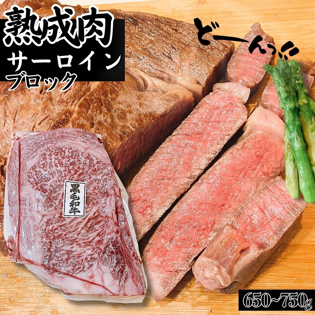 ＼10％offセール／お買い物マラソン 熟成肉 黒毛和牛 A5等級 サーロイン ステーキ ブロック約750～800g 高級品 BBQ バーベキュー 焼き肉 焼肉