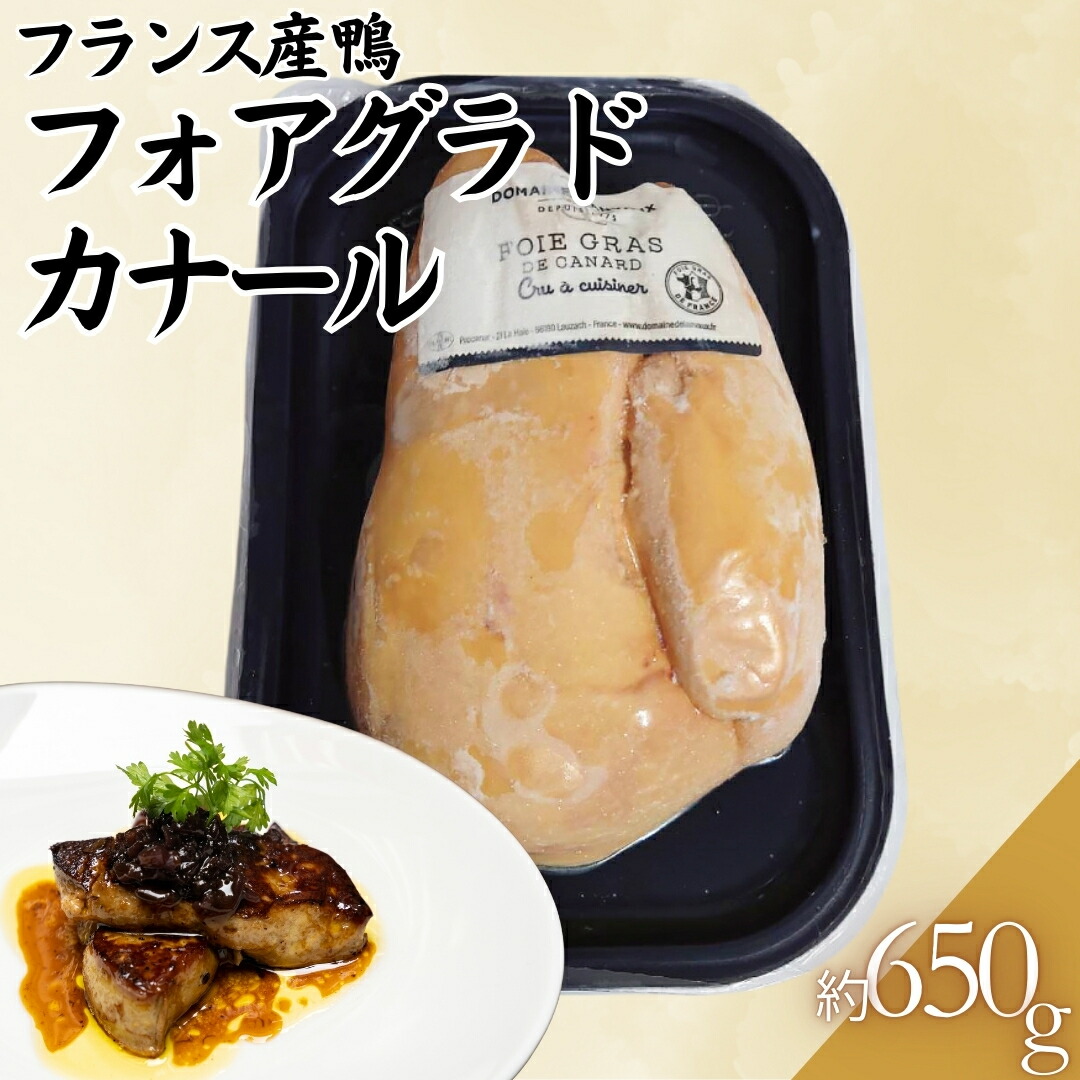 楽天市場】【フランス名門キャスティン社】castaing フォアグラ