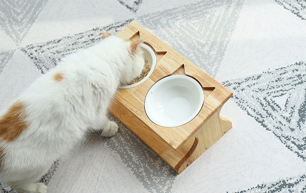 保障できる 楽天市場 ペット用品 ペット食器ボウル ペット皿 犬猫用 食器 猫ボウル スタンド 食べやすい 滑り止め Mdkstore楽天市場店 最適な価格 Lexusoman Com