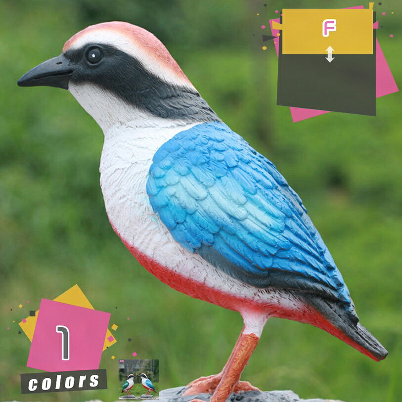 1000円OFF引き換え証 ガーデニング 鳥 飾りつけ 好いたらしい 室内装飾 アニマルオブジェ 雑貨 飾りつけ 今めかしい 毛の荒物 庭園 庭 芝地 室外 部屋の入り口 張出窓 上がり段 ガーデンオーナメント 癒しグッズ 雨合羽 花やしきの飾りつけ 飾りつけ 差し上げ物 祝する品 mdnat