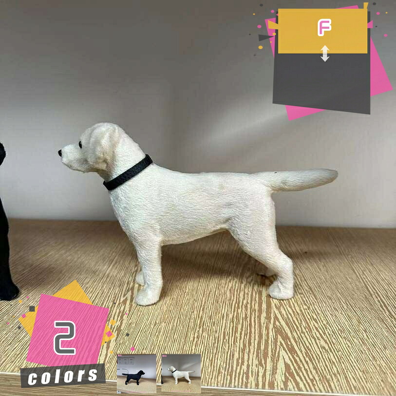 ガーデンオーナメント 犬 ガーデニング雑貨 犬の飾りつけ 好いたらしい 毛の荒物 毛の荒物 苑地 飾りつけ 苑地オブジェ 庭 壱お父ちゃん 苑地雑貨 園芸雑貨 庭飾りつけ かざり付ける オブジェ 室内装飾雑貨 飾りつけ 園芸 室内装飾 mdnat