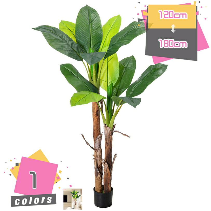 2000円OFFクーポン バショウの木 人工観葉植物 フェイクグリーン 土を使わない 水やり不要 開運 お祝い 室内用 インテリア おしゃれ 風水 大型 造花 シンプル オフィス リビング 店舗 モダン 多幸の木 金のなる木 常緑樹 開店祝い 引越祝い 新築祝い mdnat|TandM