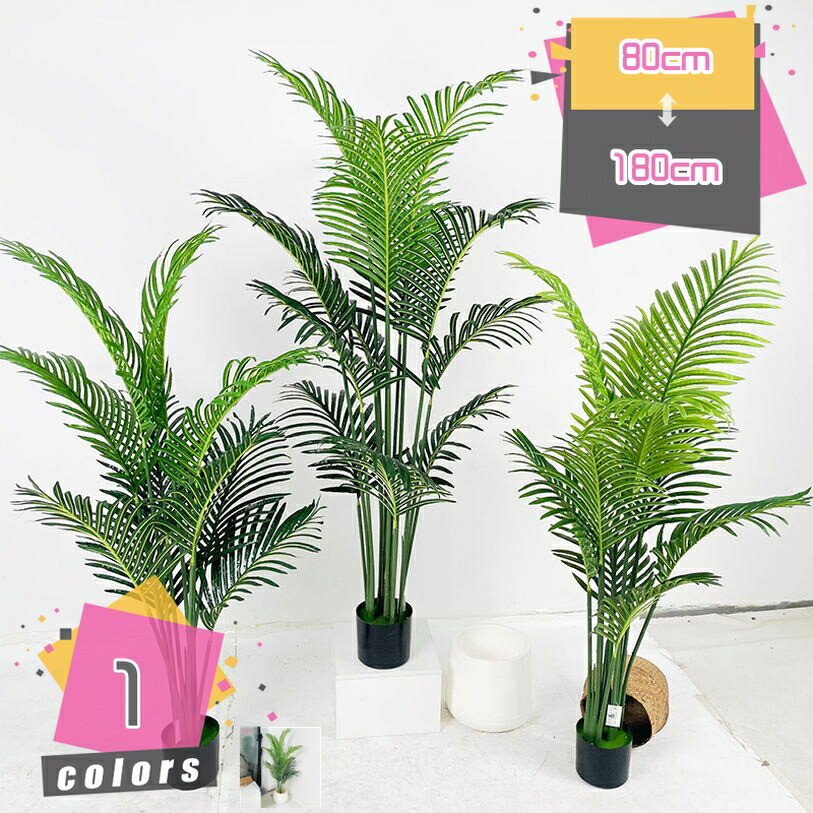 売れ筋 本日発送 M5TRGRNK7GZ [M5TRGRNK7GZ]