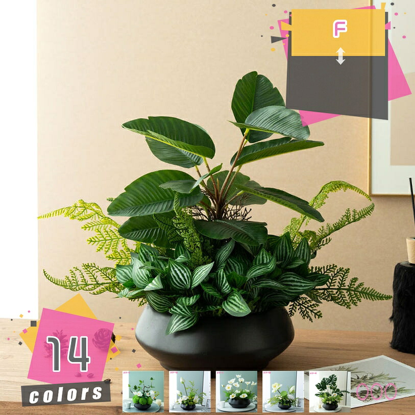 1000円OFFクーポン フェイクグリーン 卓上 人工観葉植物 インテリア オシャレ 室内 家庭 オフィス おしゃれ ホームデコレーション 店舗ディスプレイ フェイク グリーン 自然な姿 本物そっくり お手入れやすい 水やり不要 害虫駆除不要 mdnat｜TandM 15,322円