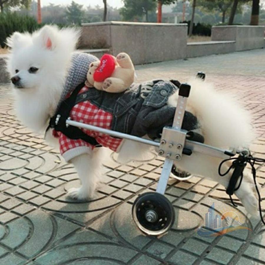 犬車いす老犬用スクーター 車椅子 大型 椅子 スポーツ アドバンスト 一人暮らし リビング 寝室 来客用 省スペース 快適 インテリア 便利｜エムディーアール　店