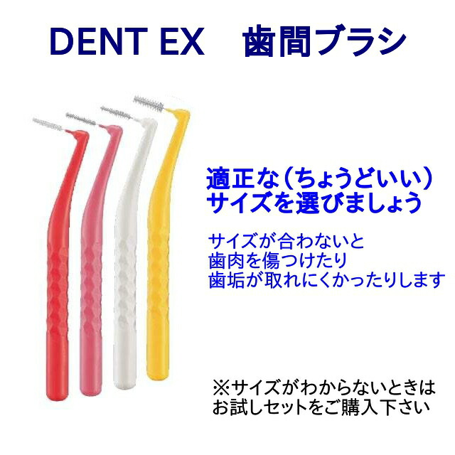 総合福袋 クーポン利用可 歯間ブラシ ライオン DENT.EX ２箱 ４本 箱 サイズ選択可 turbonetce.com.br