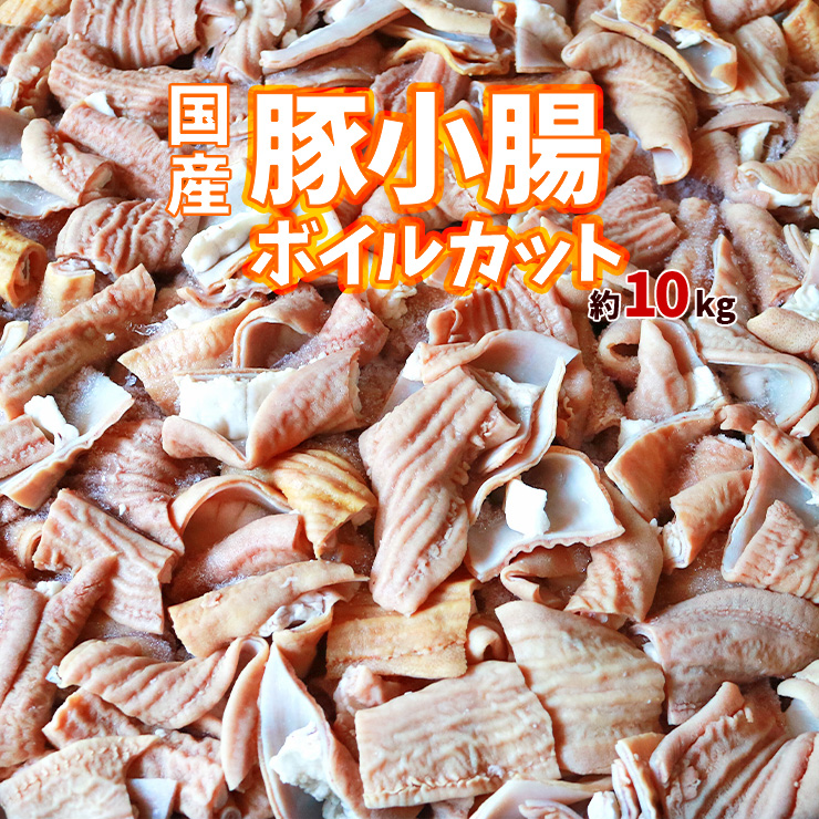 国産 豕 小腸 ショウチョウ 白モツ 白もつ ホルモン ほるもん 豚もつ 除却済み 沸騰させる基底茹で済み およそ10kg 課題用 出自 凝固 済 貨物輸送無料 食材 特殊性肉類 膳だて前部 原料 焼き 由あり ストック罪報 食品 コロナ 肉 ポーク もつ寄せ集め ホルモン焼き 唐揚げ