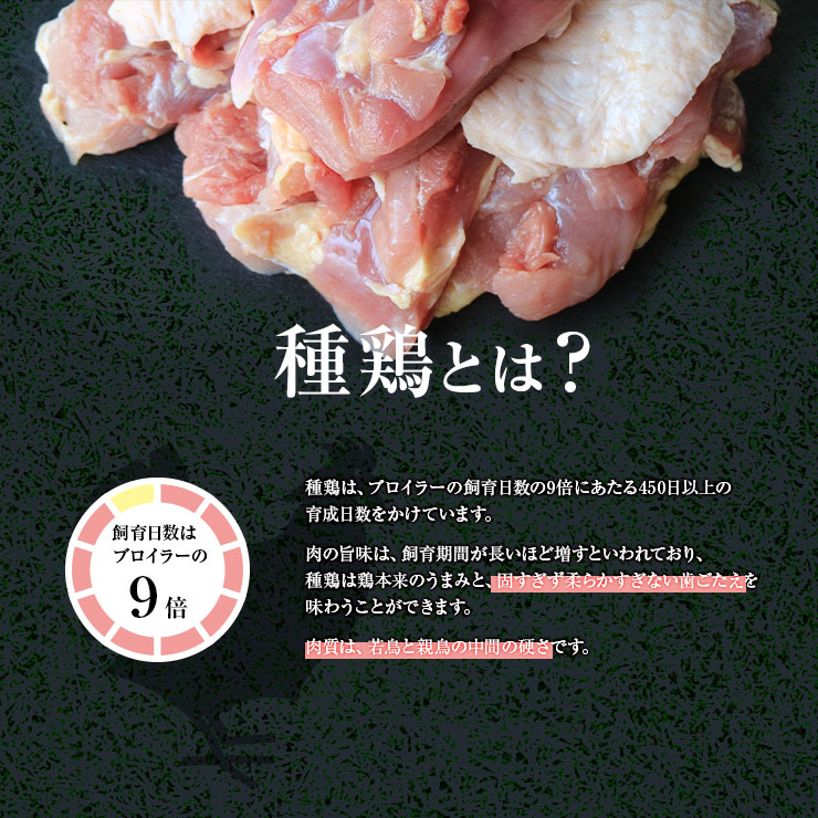 市場 親鳥 種鶏 おやどり 親鶏肉 たね鶏 ひね鳥 冷凍 モモ肉 国産 おや鳥 国産鶏 業務用 鶏肉 硬い ヒネ鶏 かたい 2kg もも肉 真空パック