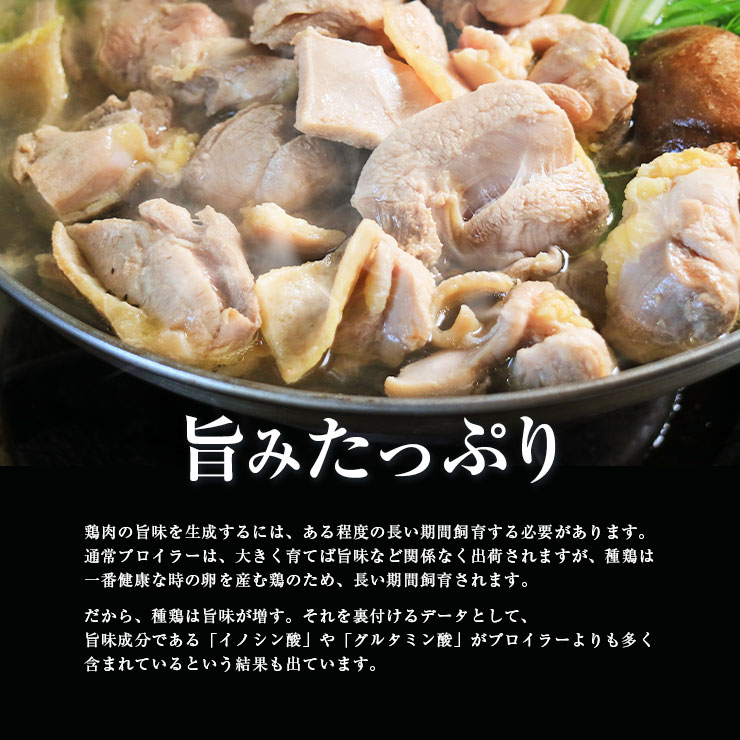 市場 親鳥 硬い 国産鶏 国産 冷凍 もも肉 モモ肉 真空パック 親鶏肉 かたい おやどり 2kg たね鶏 種鶏 鶏肉 おや鳥 ひね鳥 業務用 ヒネ鶏