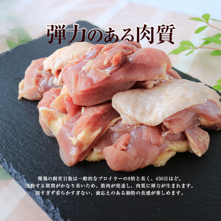 市場 親鳥 硬い 国産鶏 国産 冷凍 もも肉 モモ肉 真空パック 親鶏肉 かたい おやどり 2kg たね鶏 種鶏 鶏肉 おや鳥 ひね鳥 業務用 ヒネ鶏