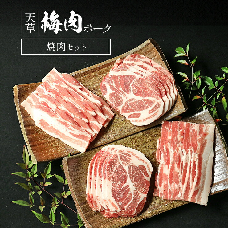 高級 お歳暮 御歳暮 ギフトプレゼント 贈り物 天草梅肉ポーク 焼肉セット 豚肉 バラ焼肉用 500g(250gx2p) 約5人前 肩ロース焼肉用 500g(250gx2p) 冷凍食品 おかず お取り寄せグルメ 国産 九州産 熊本産 ホルモン剤不使用 抗生物質不使用 抗菌剤無添加 ホルモンフリー