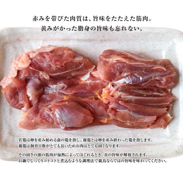 市場 親鳥 国産 おやどり 親鶏肉 おや鶏 1kg もも肉 かたい 冷凍 ヒネ鶏 おや鳥 鶏肉 国産鶏 硬い モモ肉 ひね鳥 業務用 真空パック