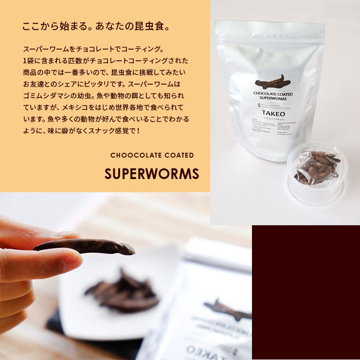 楽天市場 虫チョコ おもしろ 昆虫食 食べる虫 キョクトウサソリチョコレート サソリ 蠍 2個 タイ産 食用虫 昆虫食 食べる虫入門 おつまみ 変わった お菓子 食品 パーティー 送料無料 Takeo 罰ゲーム グッズ ドッキリ イタズラ ゲテモノ イベント インスタ映え 簡易