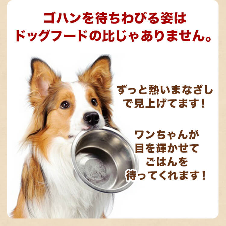 上品な 犬 馬肉 生肉 送料無料《業務用簡易パック》カナダ産馬肉切り落とし10kg 1kg×10袋 注 バラ凍結ではございません  gefert.com.br