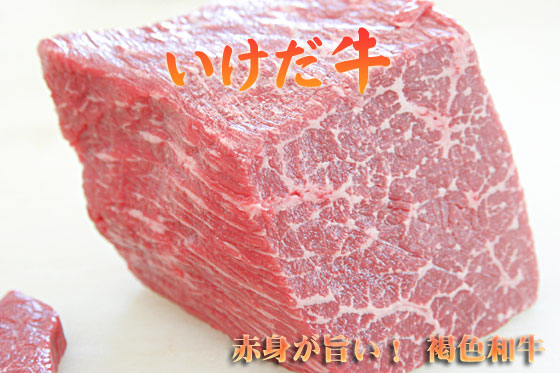 【量り売り】ローストビーフ用　いけだあか牛もも　褐毛和牛モモブロック　約1200ｇ　4680円/kg