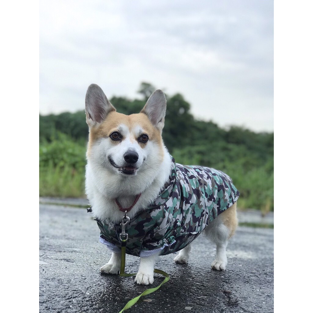 楽天市場 犬用レインコート 犬用ウインドブレーカー ワンちゃんの防寒対策 雨対策 ペット服 犬服 ドッグウェア S Xxlサイズ 迷彩柄 Meatrice 楽天市場店