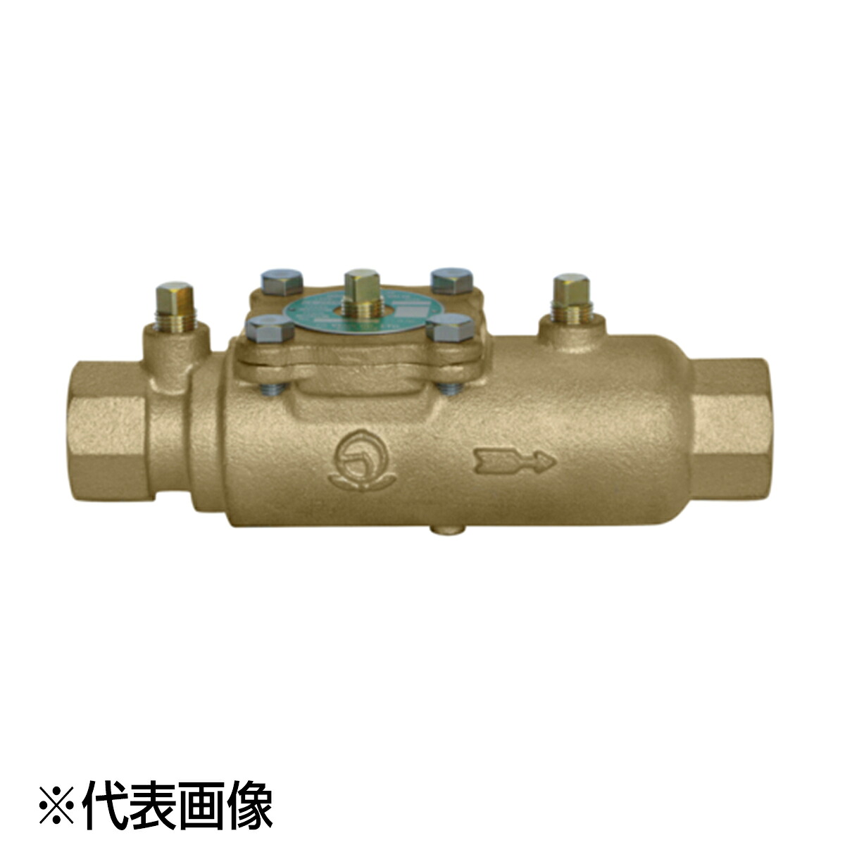 ベン CS2SSN-F 25A(1) 複式 JIS Rcねじ 水道法適合品 複式逆止弁|メカノマート 店