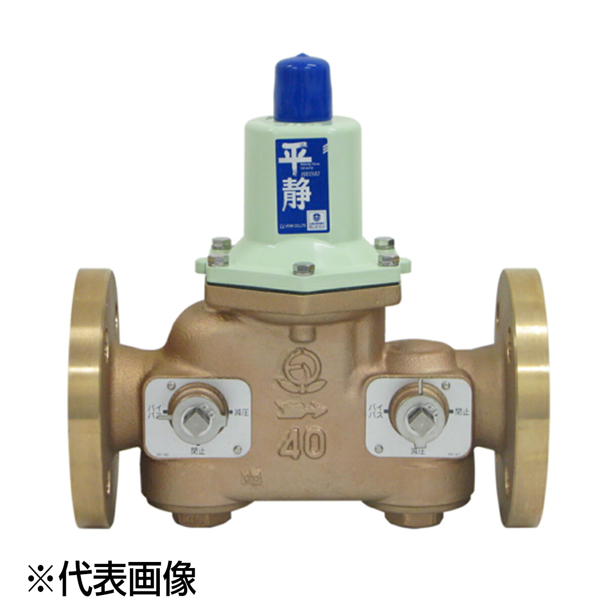 ベン RDB33FN-FL 40A(1.1/2) 環状道路付 環状道路付減圧弁