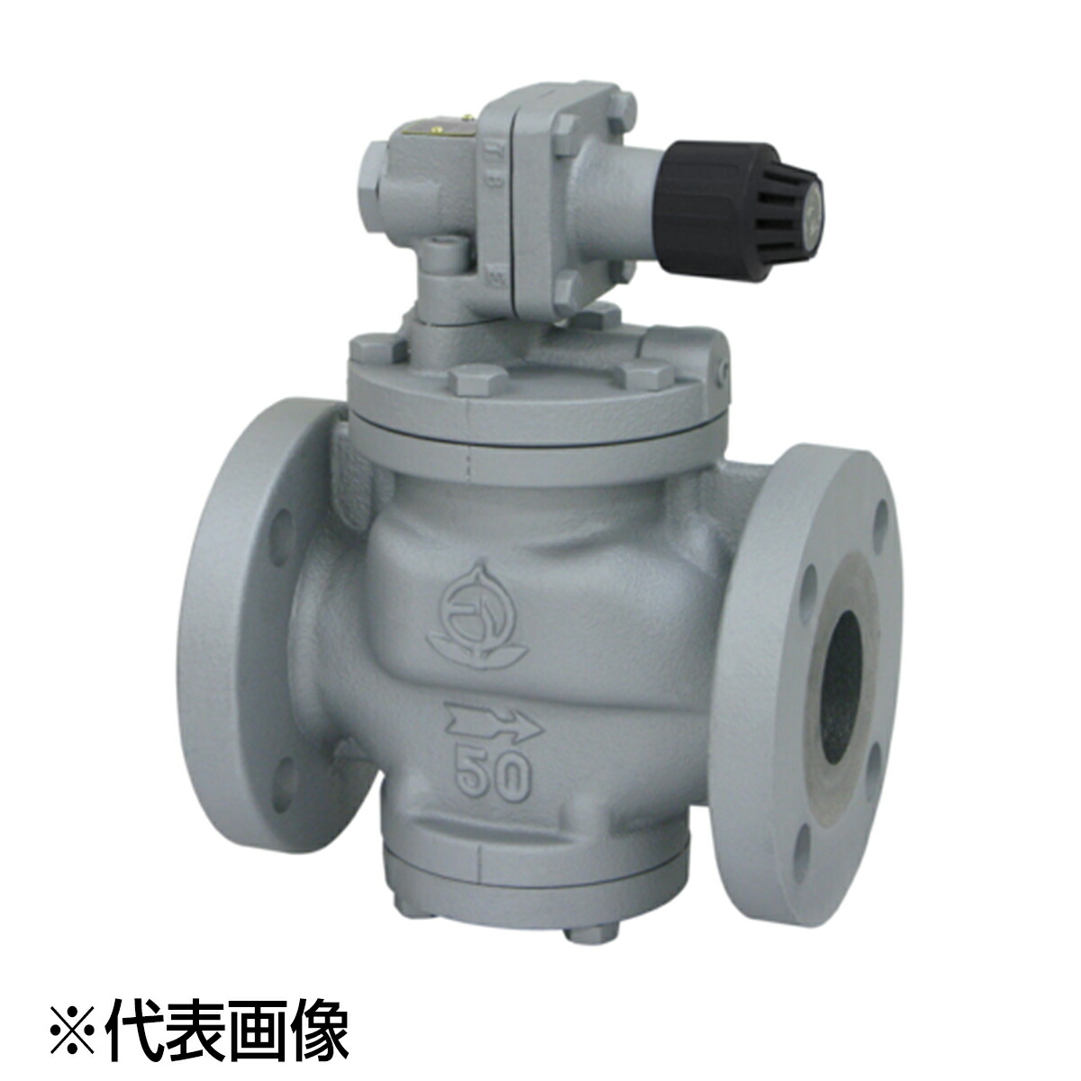 ベン RP6A-B 25A(1)  減圧弁
