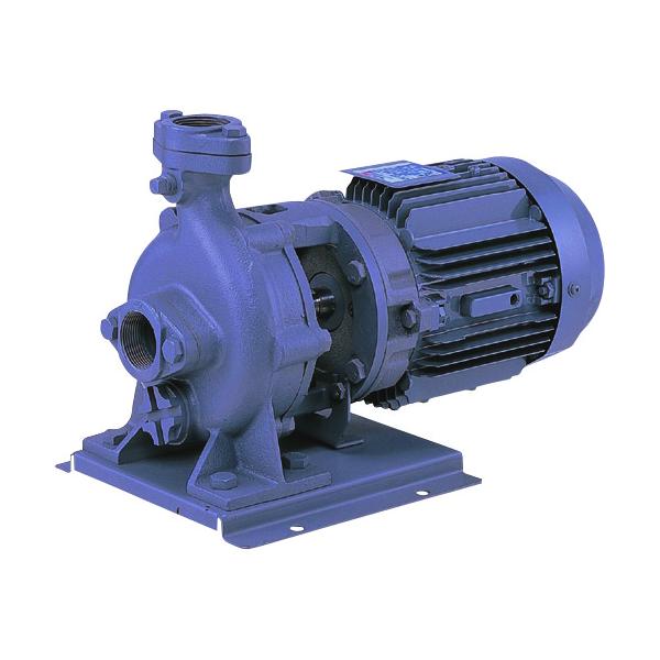 荏原製作所 65FVD63.7B FVD型ブルテックスポンプ 60Hz 口径65mm 出力3.7kW エバラ