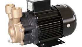 三相電機 15PWHG-2021B 丹銅製カスケード揚水機 単相100V 50/60サイクル(製造会社直送品)