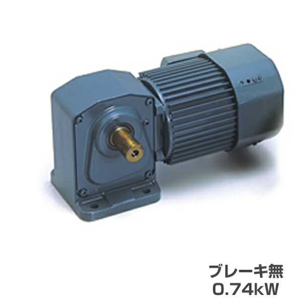 シグマー技研 TMHL-07-160 SG-P1 ギヤモーター 直交軸 三相脚取付型 (ブレーキ無) 0.74kW