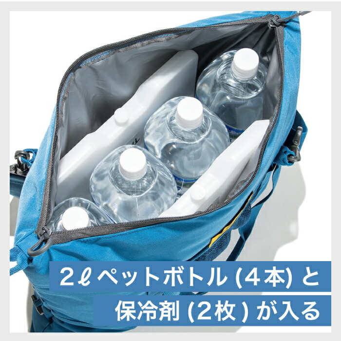 選べる恩好い目 冷蔵庫カバン クーラー立方体 バッグ 15 およそ14l トート 保冷バッグ 如才ないクーラーバッグ サブバッグ 折りたたみ 外形脱胎 2l喇叭壜x4volmin 馬鹿伎倆 収納 パウダーコンパクト 宿陣 アウトドア ピクニック 提言式事 北欧 格好のいい オレゴニアン
