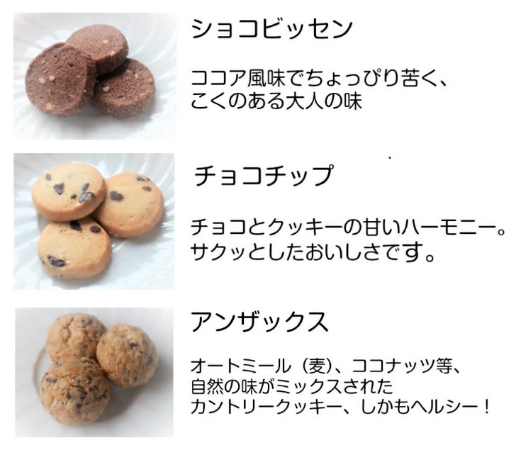 楽天市場 クッキー詰め合わせ 送料無料 楽天限定クッキーセットl 100枚以上 合計555ｇ 手作り ギフト 焼き菓子 サクサク おしゃれ かわいい お菓子 洋菓子 美味しい 贈り物 手土産 挨拶 産休 異動 お礼 内祝い 快気祝い お祝い 子供 紅茶 チョコチップ 菓子折り すい