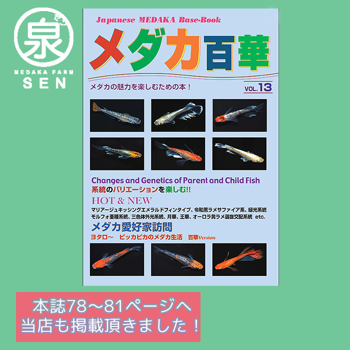 日本全国送料無料 楽天p2倍 メダカ百華 第13号 発行 株式会社ピーシーズ メダカ生体 めだか生体 めだか メダカ 生体 ラメ 販売 観賞魚 初心者 品種 種類 セット