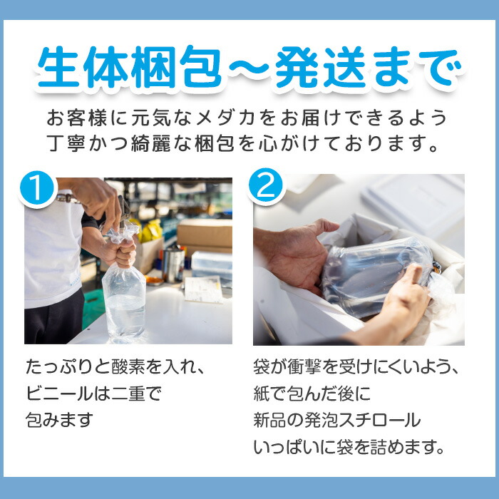 養魚場