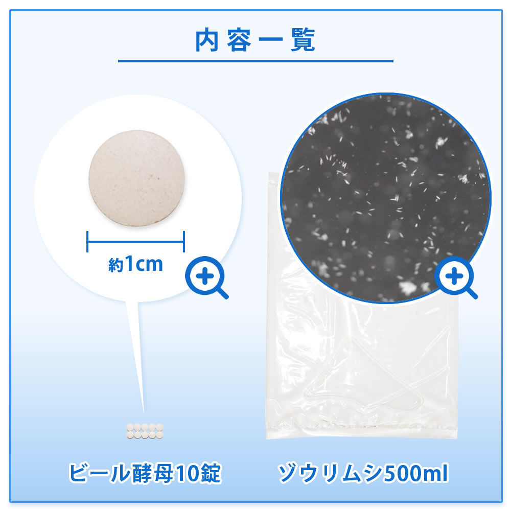 即日発送 ゾウリムシ 900ml メダカの餌 針子 稚魚 餌 生き餌 エサ