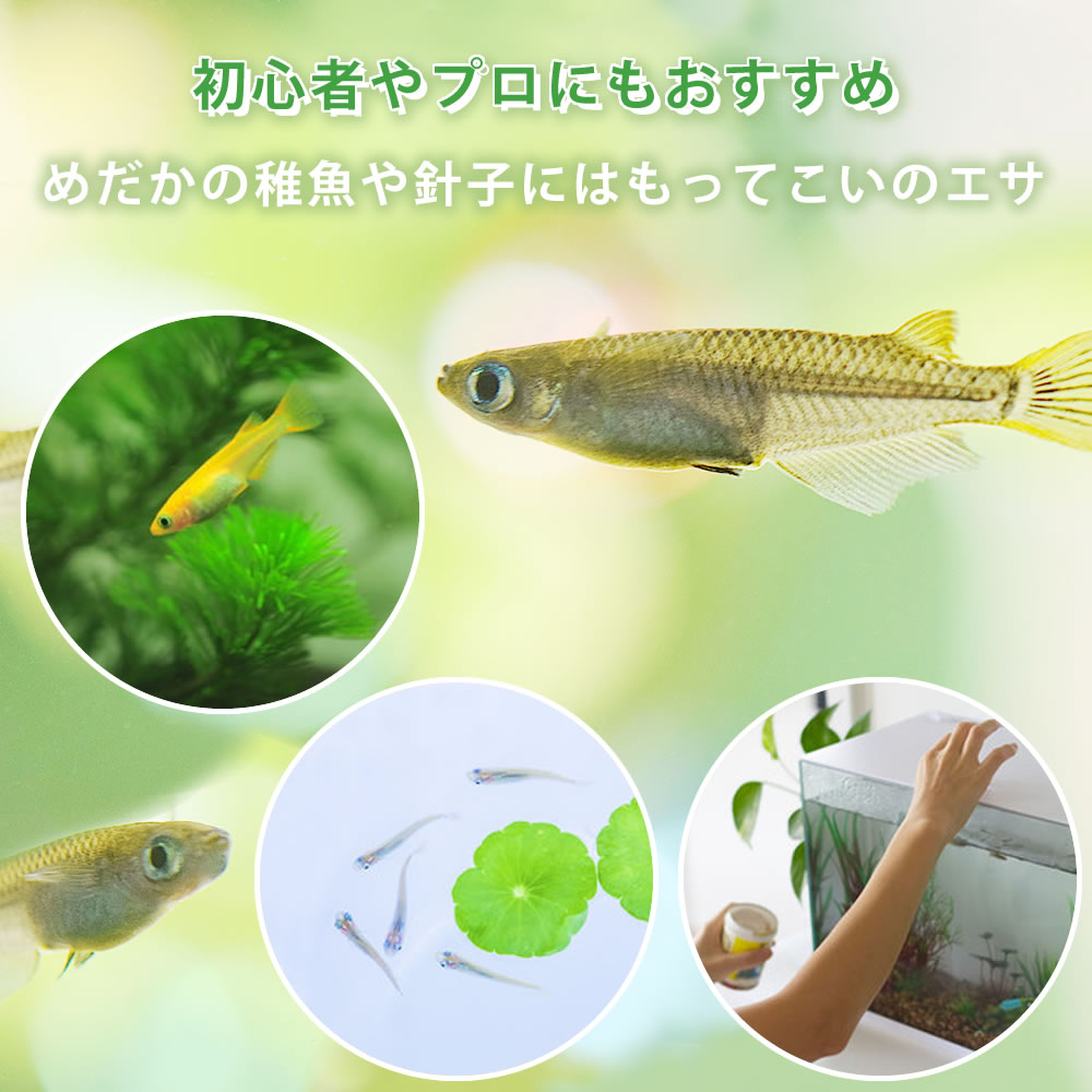 期間限定60％OFF! たまやの乳酸菌 500ml 1本 めだか メダカ 餌 エサ 観賞魚 針子 ハリコ ミドリムシ PSB グリーンウォーター たまや メダカ