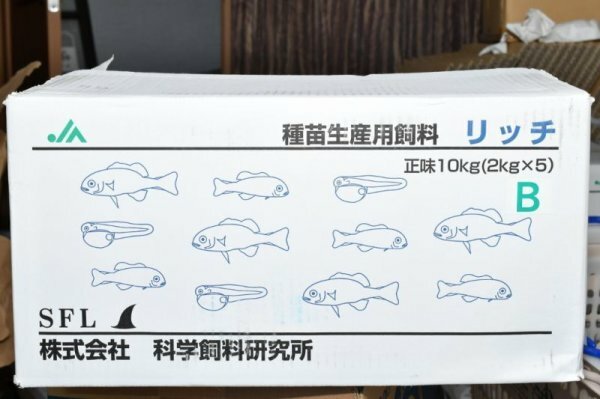 93 Off リッチb 2kg メダカ 餌 淡水魚 高タンパク育成フード ビオトープ 金魚 熱帯魚 グッピー Qdtek Vn