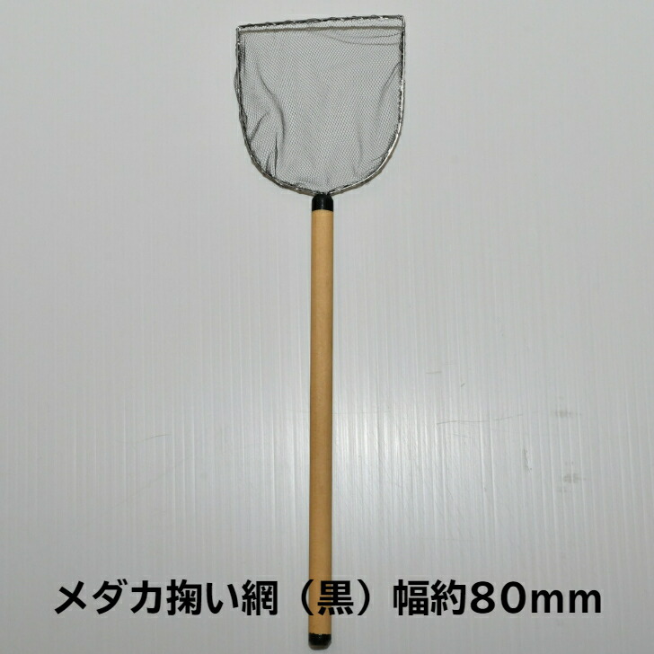 メダカ掬い網(黒)幅約80mm メダカ 幹之 楊貴妃 観賞魚 猫飯オリジナル
