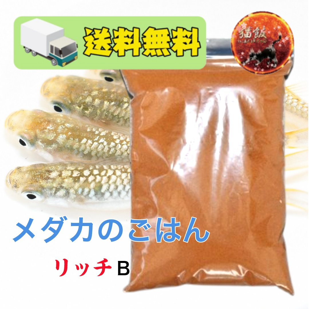 楽天市場】リッチA 500g 360円/100g メダカ 餌 エサ えさ 淡水魚 高