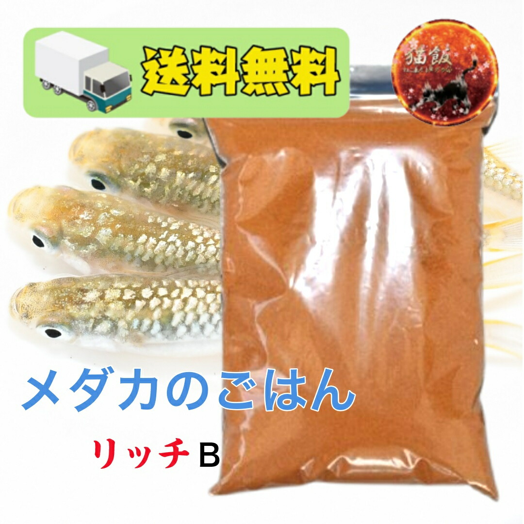 楽天市場】リッチB 500g 360円/100g メダカ 餌 エサ えさ 淡水魚 高 