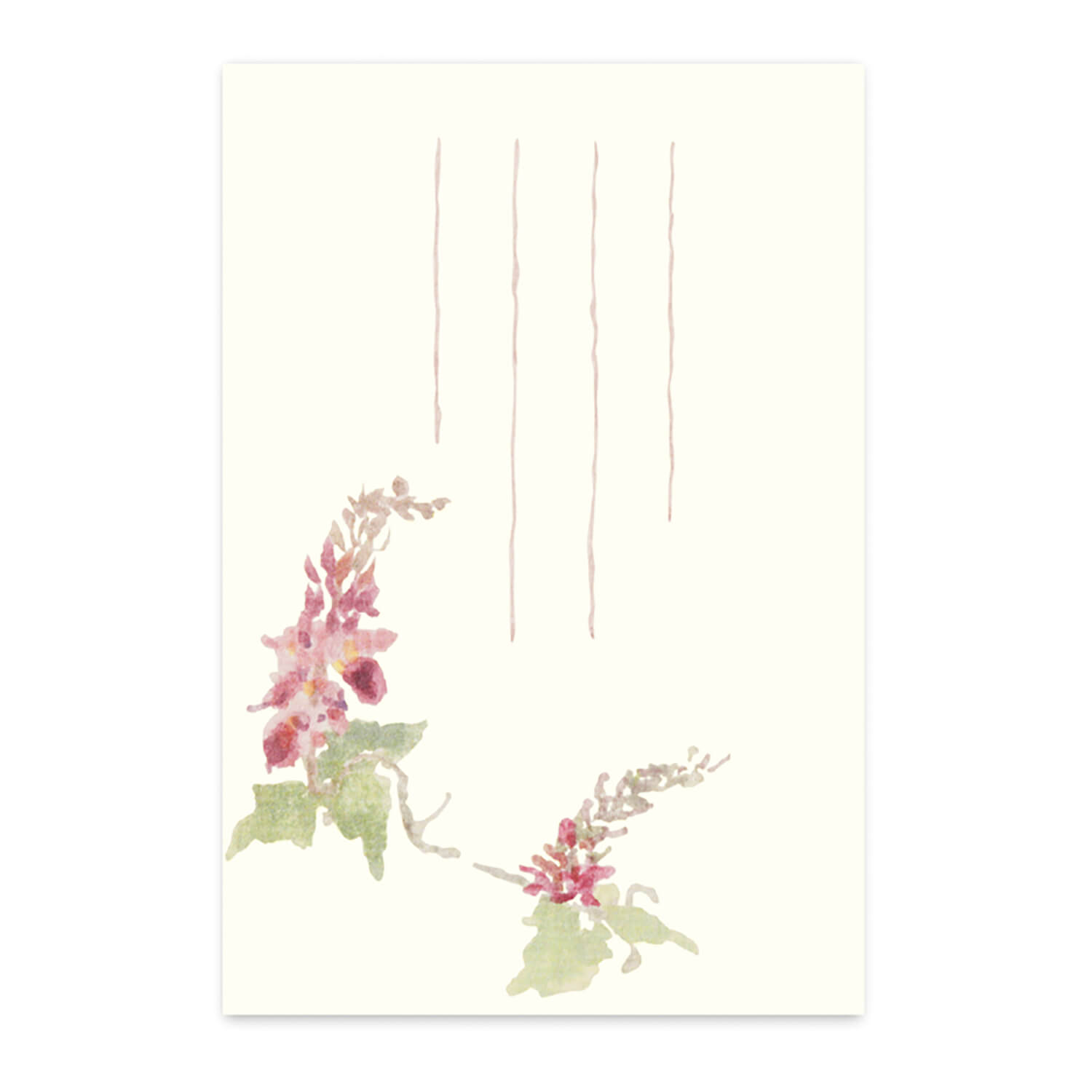 【楽天市場】絵葉書 はがき 秋の七草 和紙 葛くず 植物 花 野草 ポストカード 手紙 メッセージカード|季節の絵はがき[秋]七草・クズ：和紙