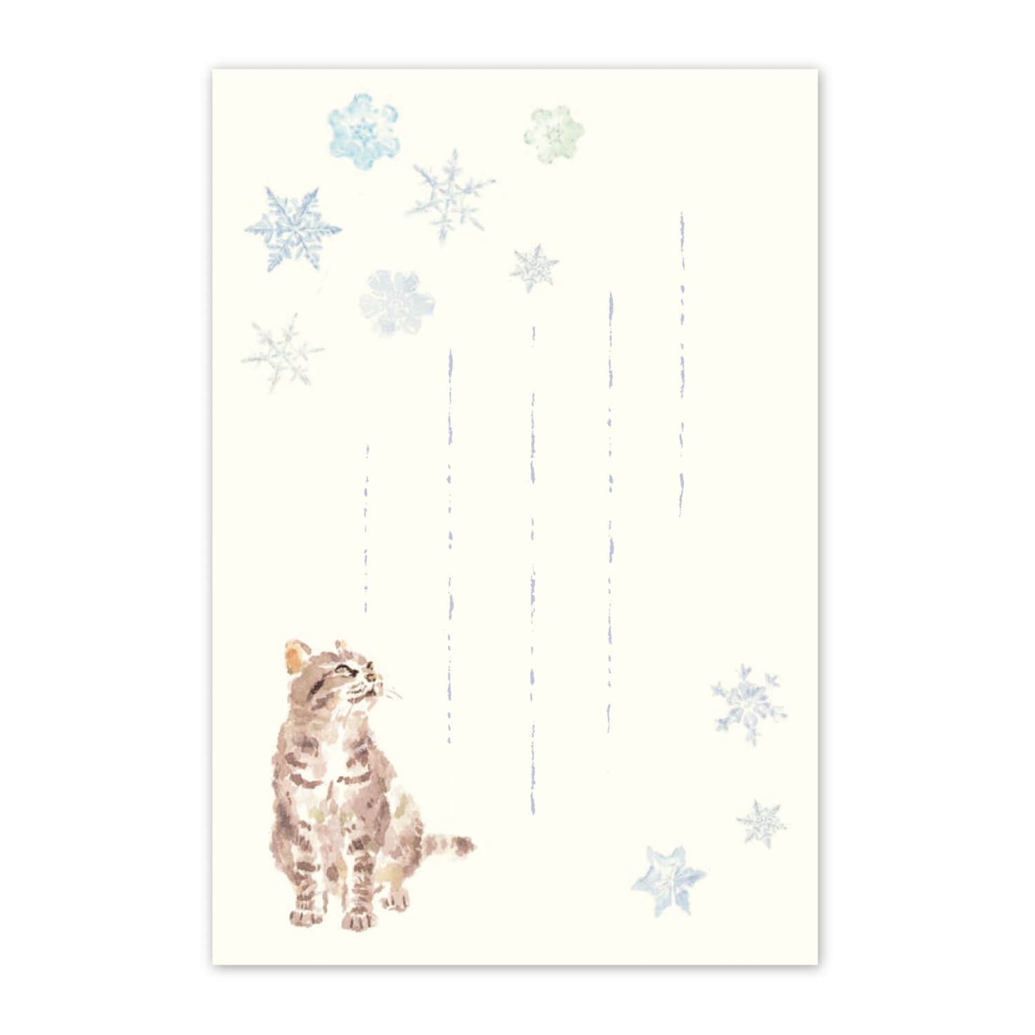 楽天市場】絵葉書 はがき 和紙 ねこ ポストカード 挨拶状 寒中