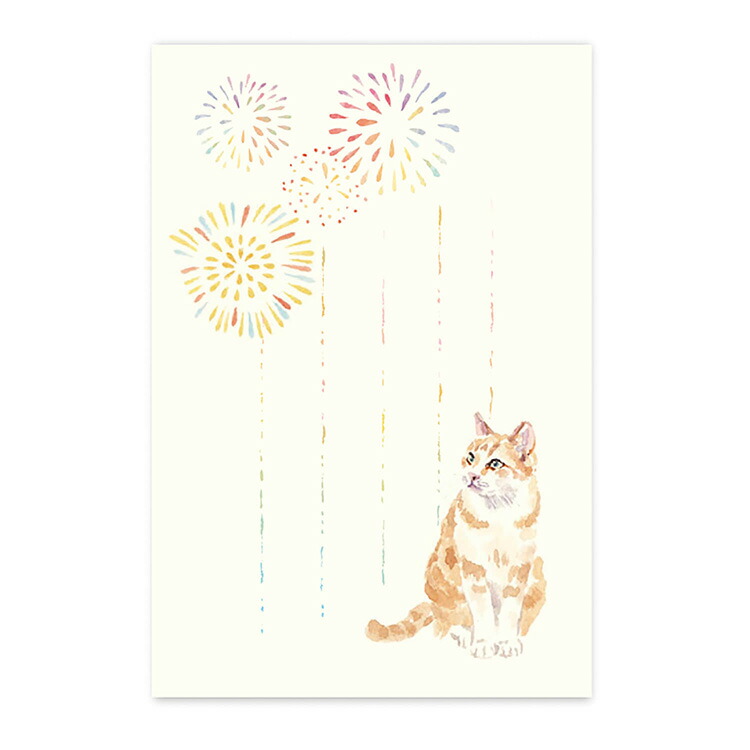 楽天市場】絵葉書 ひまわり 向日葵 猫 夏 ポストカード ねこ