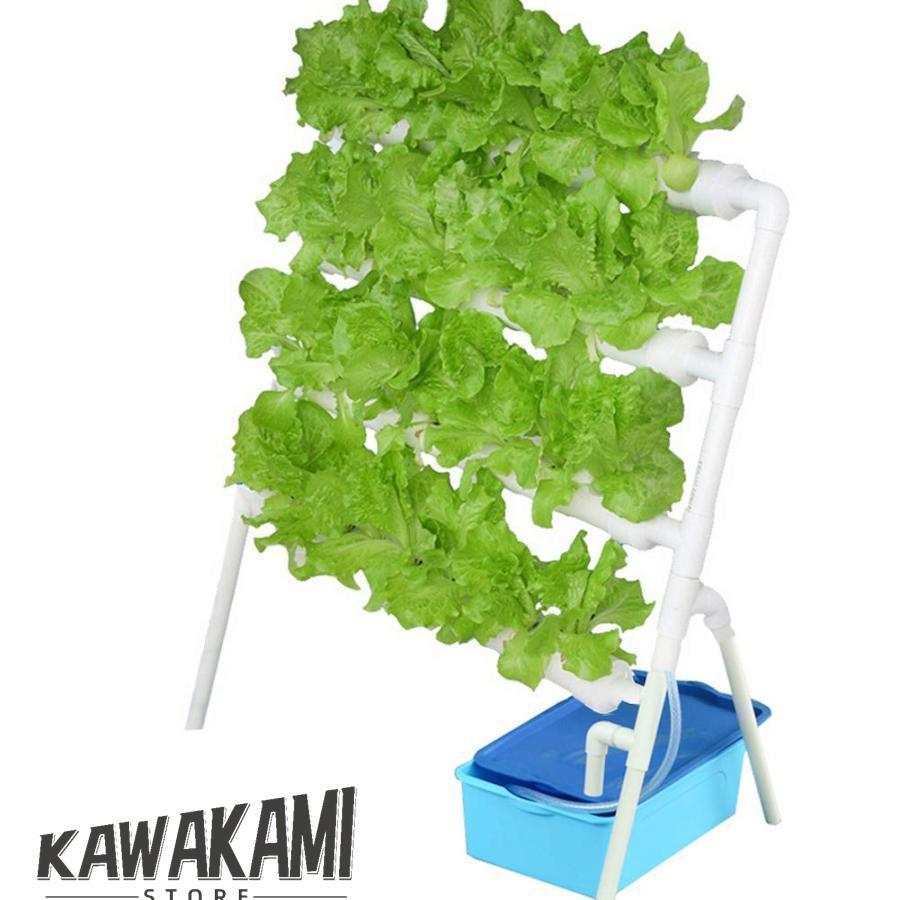 【クーポン+ポイント10倍】 水耕栽培キット すいこう栽培キット 野菜 栽培キット 室内 いちご 家庭菜園 水耕栽培セット プランター 36穴