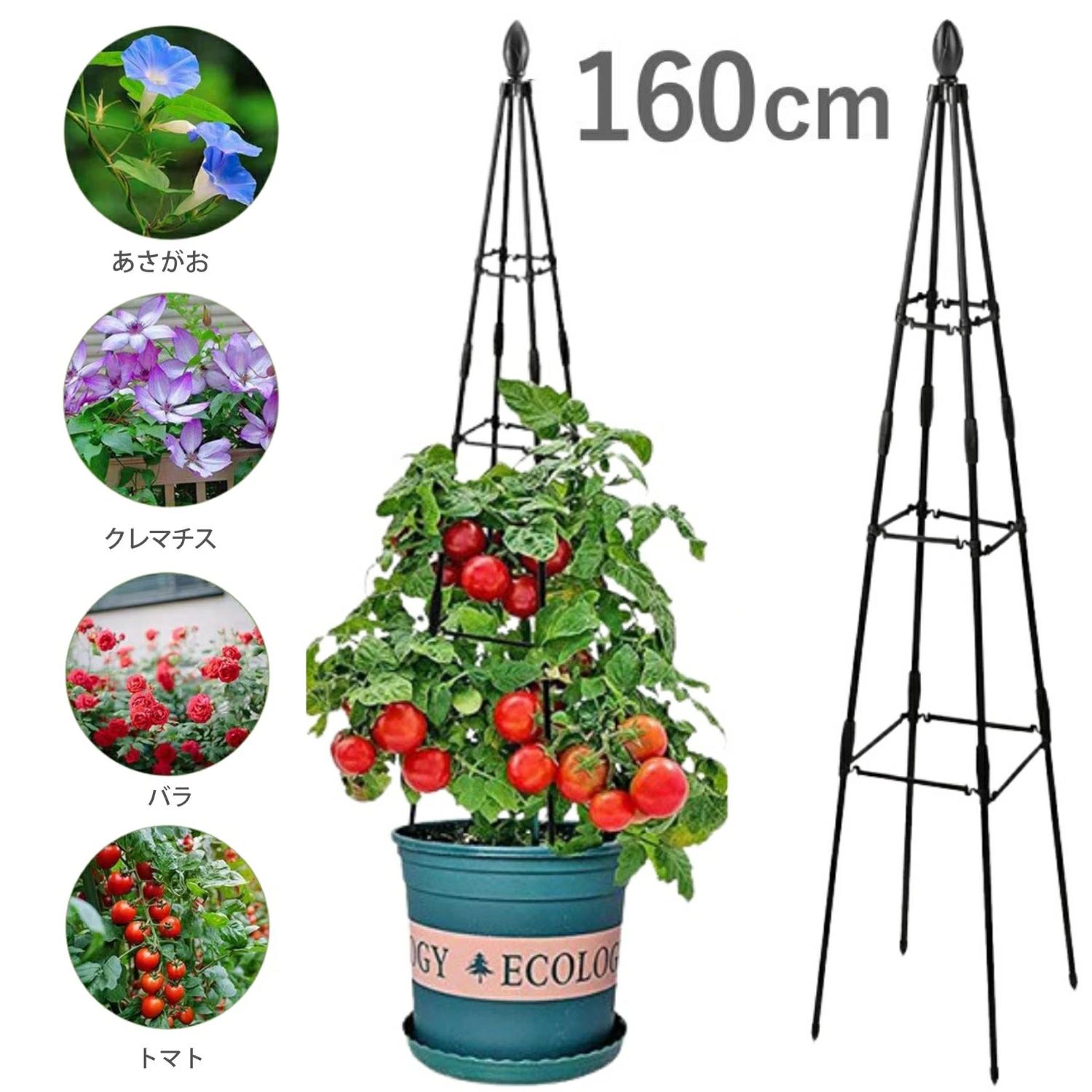【楽天市場】オベリスク アイアン バラ ガーデニン 調節可能 組み立て簡単 防錆 誘引 160cm クレマチス つる性 植物 diy ローズ