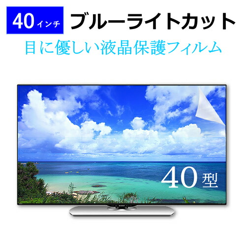 40インチ 40型 ブルーライトカット液晶保護フィルム テレビ 画面 (W878×H485mm) フリーカットタイプ メール便 送料無料